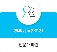 전문가 현장파견, 전문가 파견